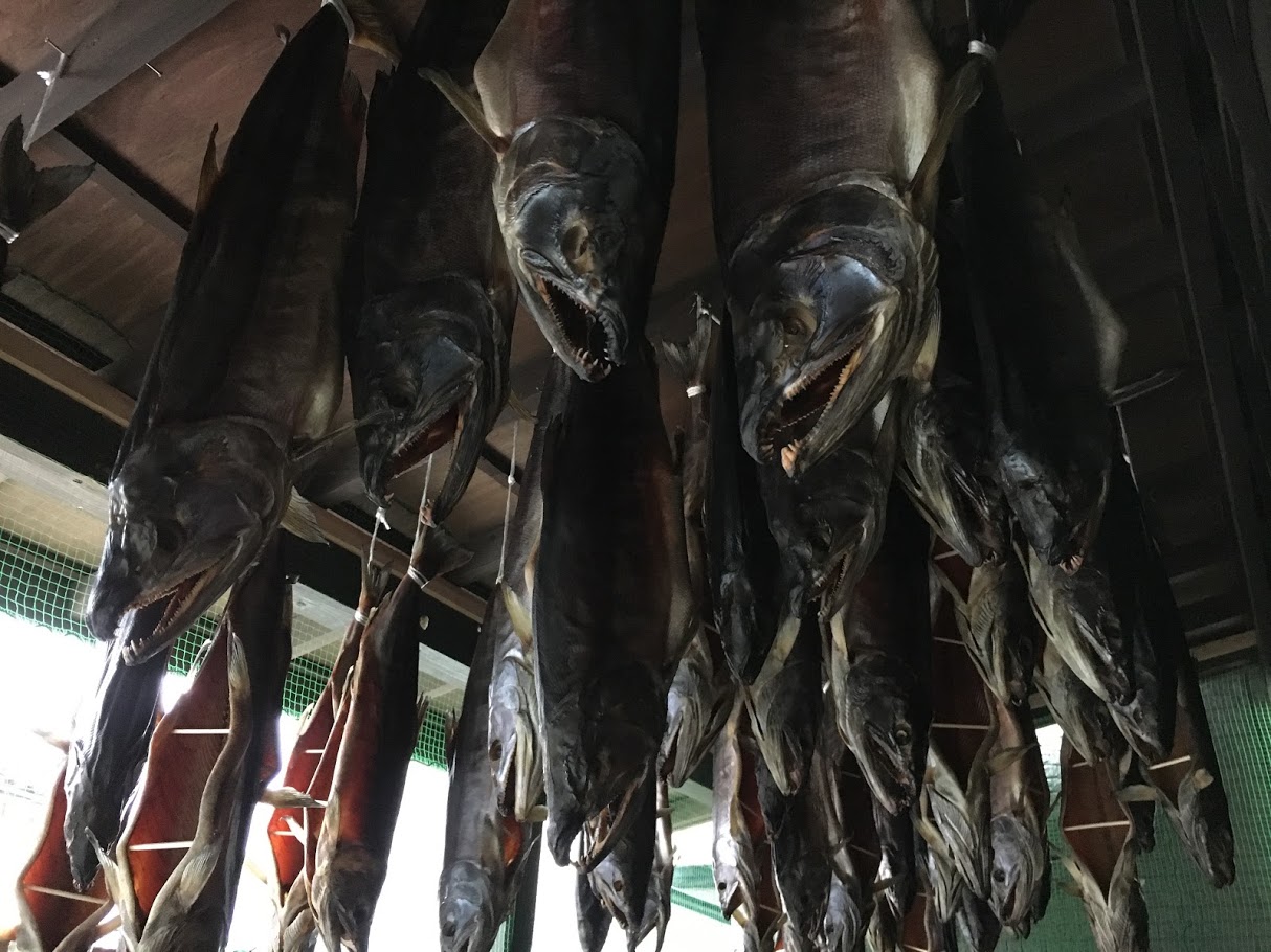 塩引き鮭の切り身を産地生産者からお取り寄せ｜新潟県村上市名産 