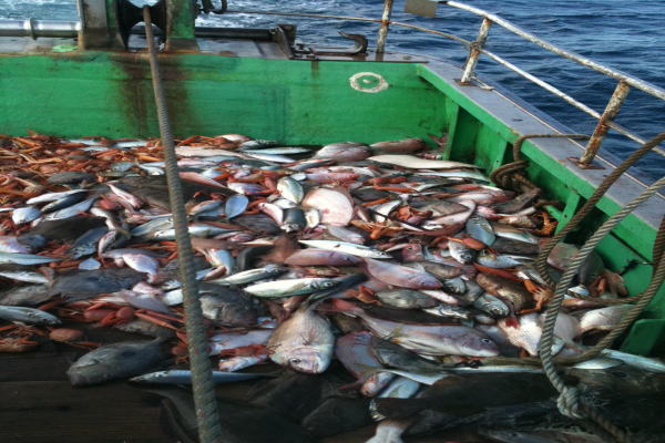 底引き漁業