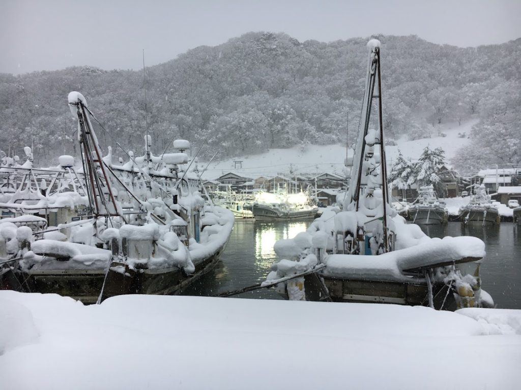 大雪の港