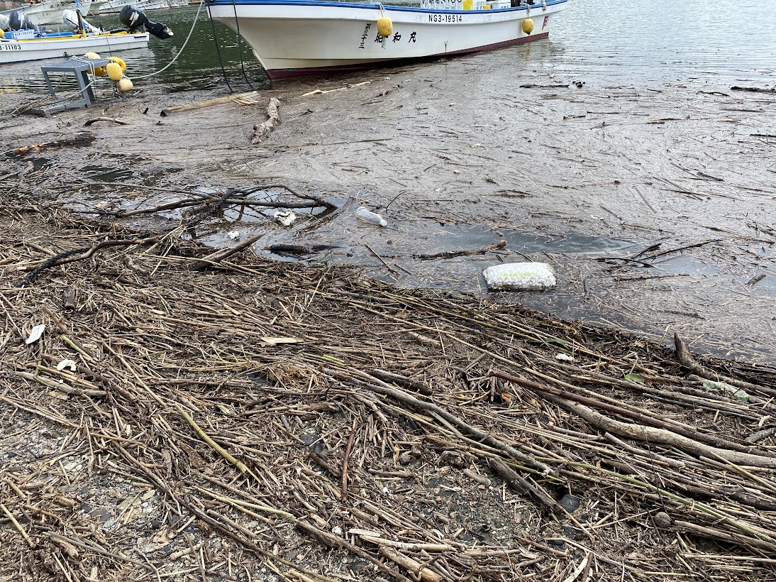 寝屋漁港に流れ着く豪雨により流出した木材ゴミ