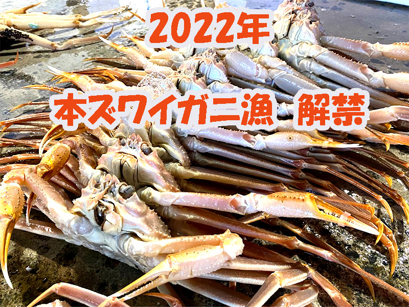 2022年新潟寝屋漁港本ズワイガニ漁解禁