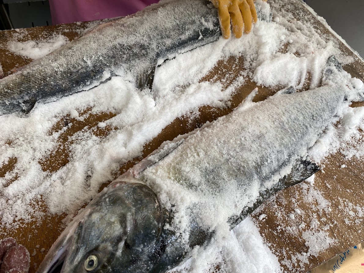 塩引き鮭の作り方で重要な塩を引く工程