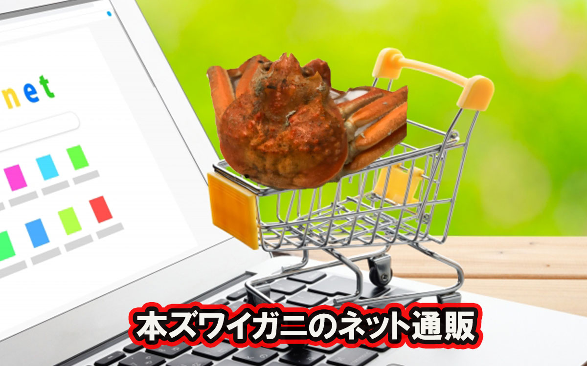 本ズワイガニの価格相場