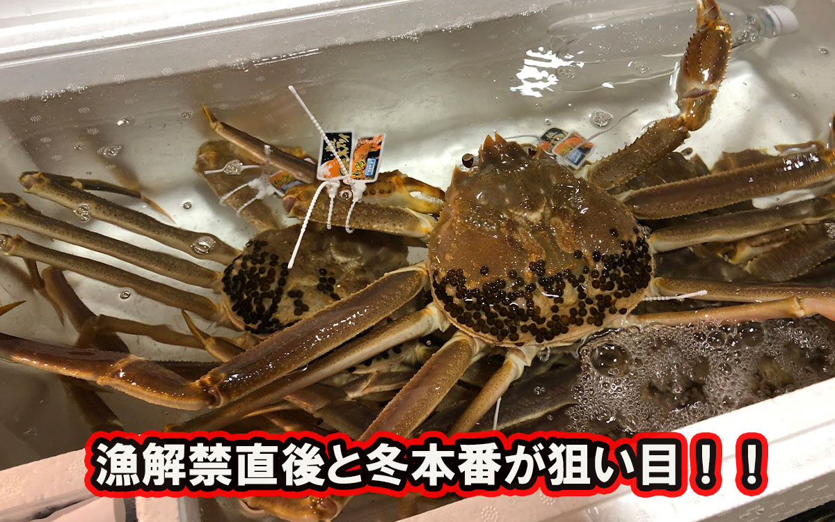 本ズワイガニのおすすめの買い時