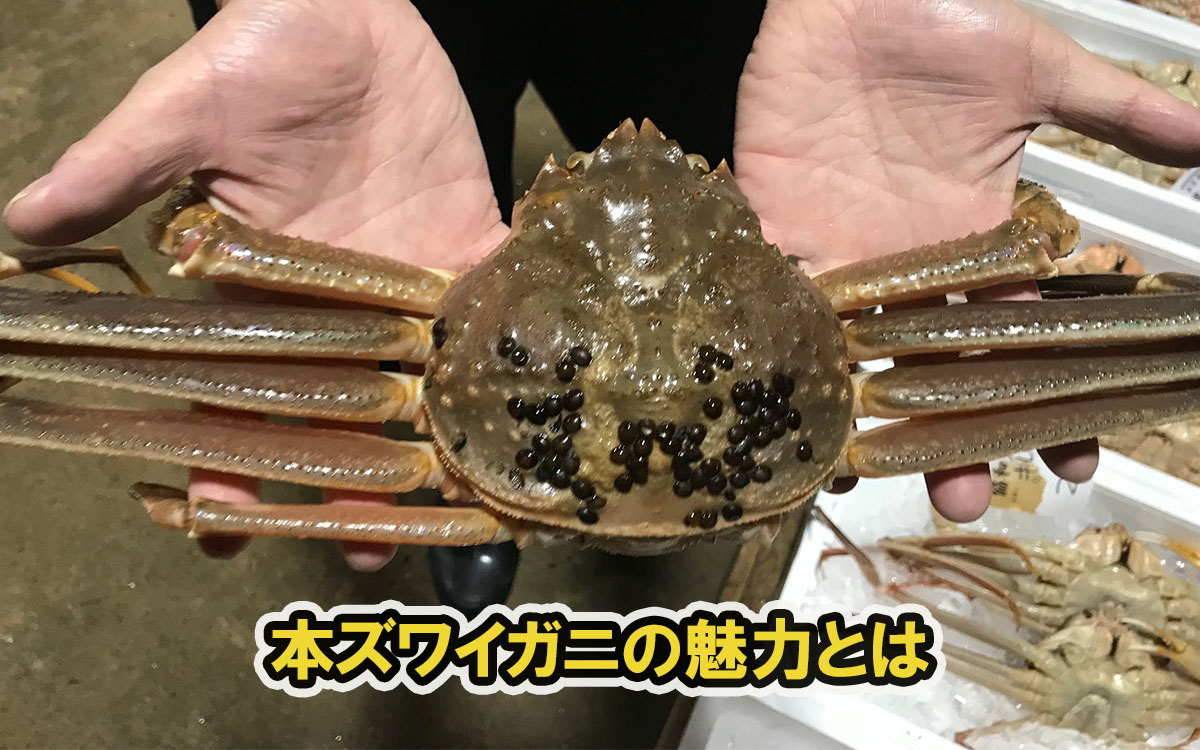 訳あり本ズワイガニをネット通販で買う人が増えている