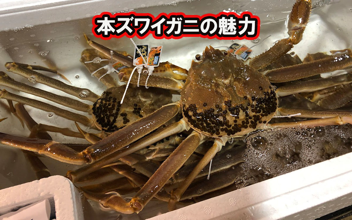 本ズワイガニの魅力