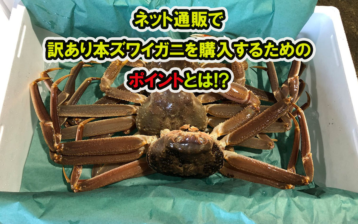 ネット通販で訳あり本ズワイガニを購入する際のポイント