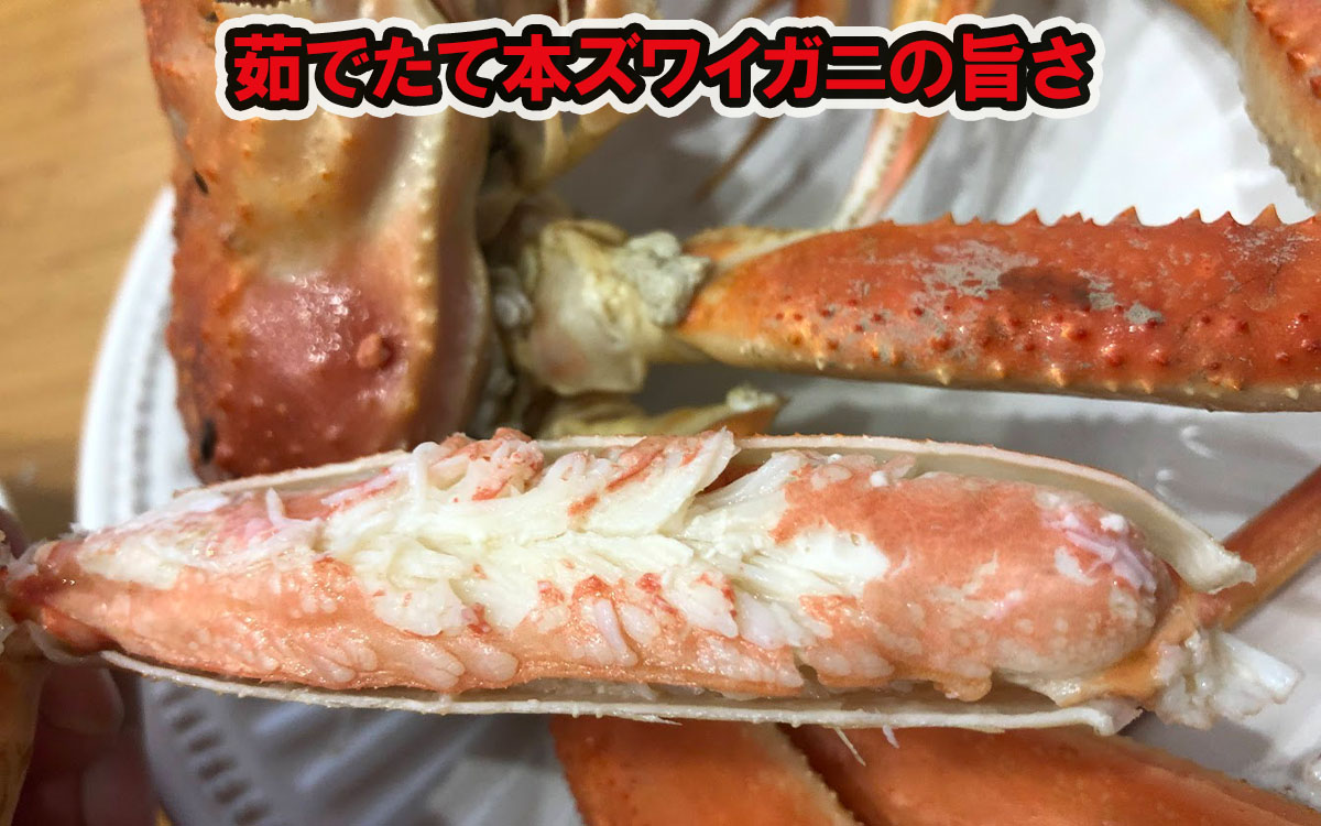 茹でたて本ズワイガニの旨さ