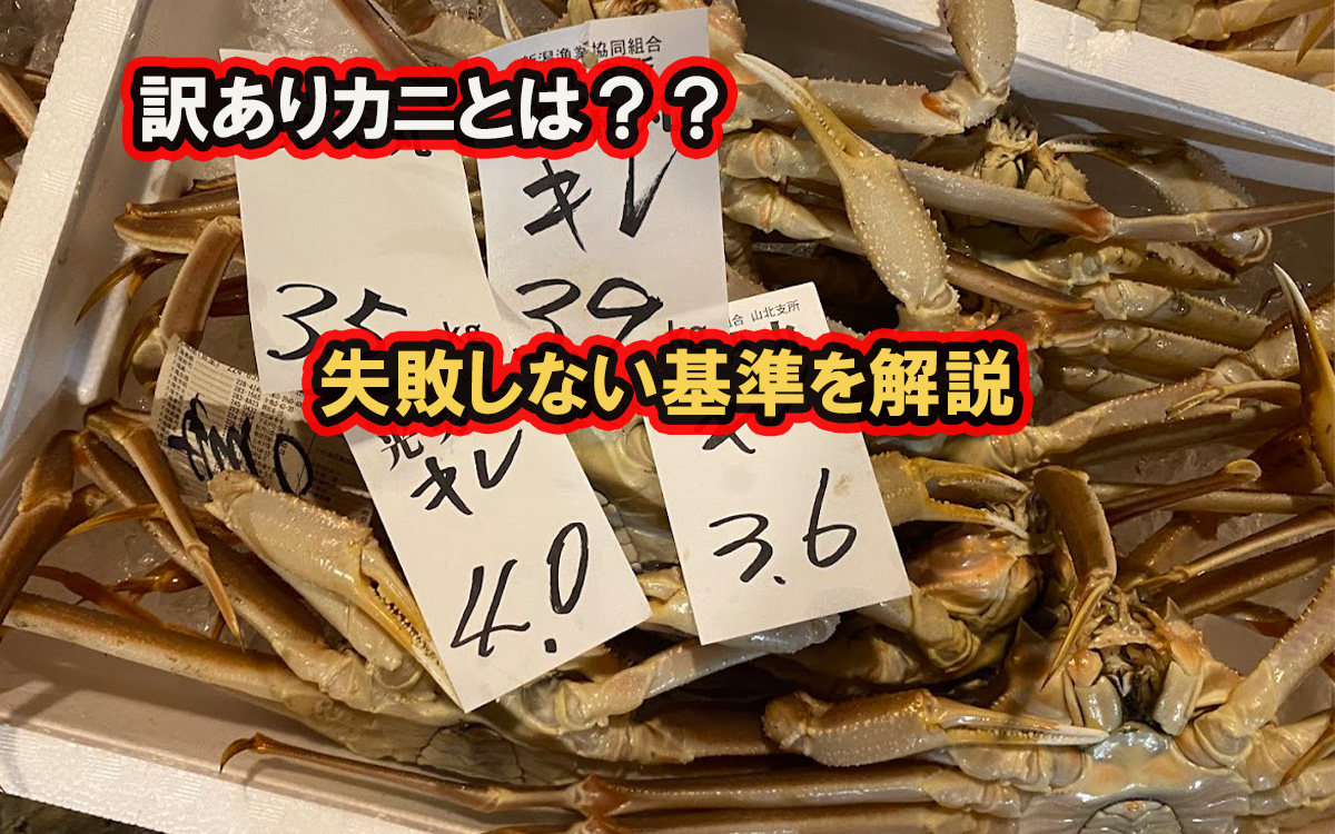 訳ありカニの選び方を解説