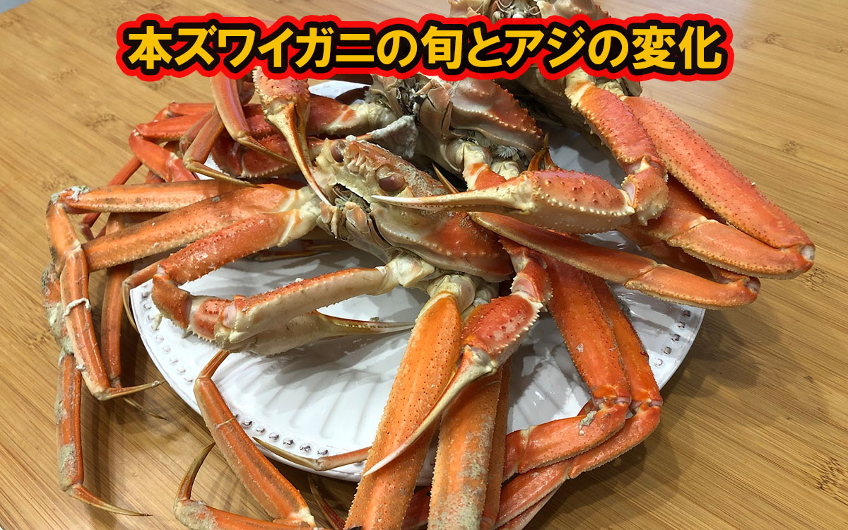 本ズワイガニの旬と味の変化