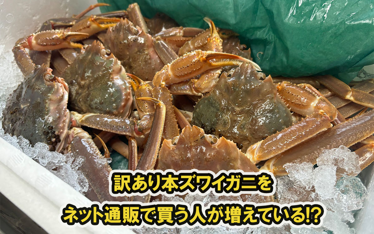 訳あり本ズワイガニをネット通販で買う人が増えている