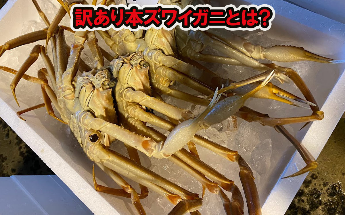 訳あり本ズワイガニとは