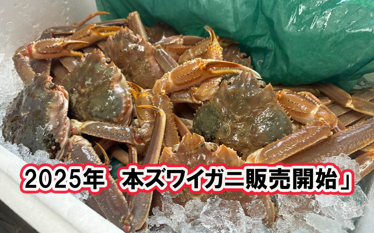 2025年本ズワイガニネット販売開始