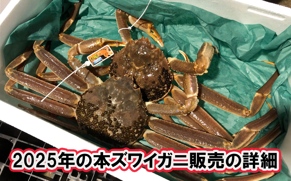 2025年本ズワイガニ販売の詳細