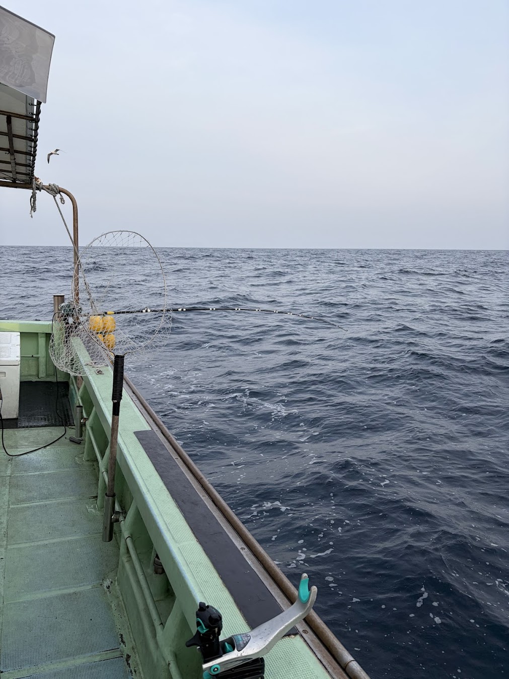 新潟県の電気釣り船
