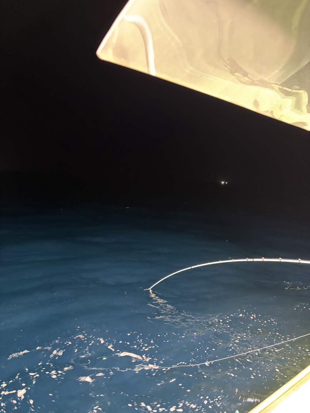 日本海電気鰤専用竿