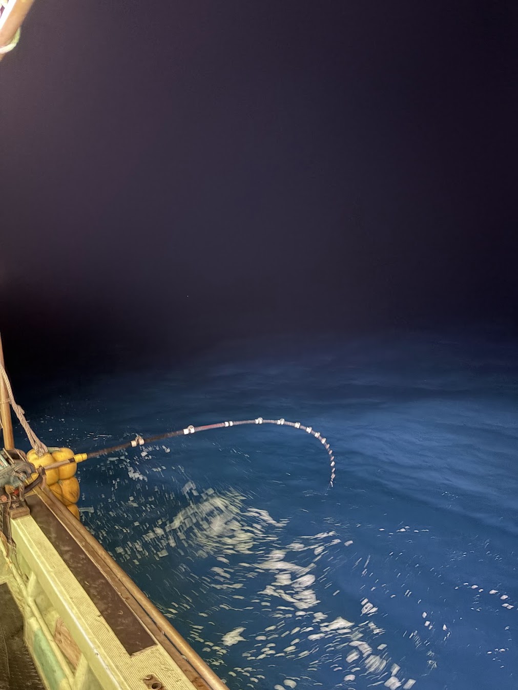 夜釣りの漁業用ロッド