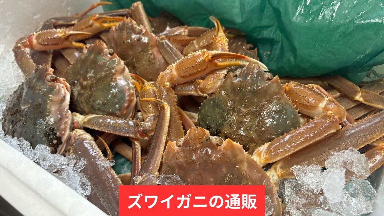 新品✨カニトップ✨賞味期限✨２０２５．１０✨早くお届け✨ 新 発売ダイエット・健康 - カニトップ JHS ジャパンヘルスサミット